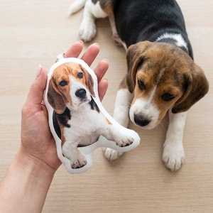 May include: A fabric beagle dog keychain held in a hand, with a real beagle dog in the background. The keychain is a cutout of a beagle with brown, black, and white markings. The real dog has similar markings and is looking down.