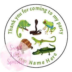 Personalised Green Reptile Stickers Thank You For Coming To My Birthday Party Labels Sweet Box Chocolate Coins Gift Sweet Cone