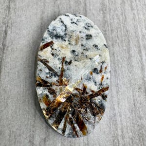 May include: Oval-shaped stone with a speckled white and gray base, featuring intricate patterns of brown and gold crystalline structures. The stone's surface is polished, highlighting the natural mineral formations. A unique, natural decorative item.