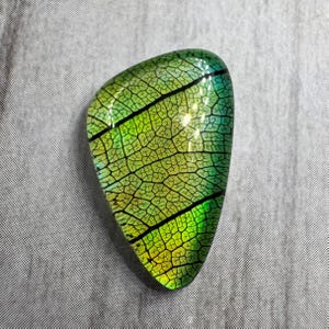 May include: A leaf-shaped glass pendant with a detailed leaf vein pattern. The pendant transitions from green to yellow, with black veins. The glass is slightly curved, giving it a three-dimensional appearance.