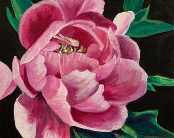 May include: A close-up of a pink peony flower with green leaves against a black background. The flower is in full bloom and has a delicate, layered texture.