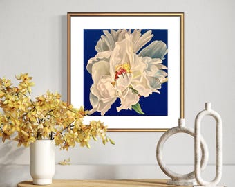 White Peony Art Print | Modern Floral Giclée, Botanical Wall Decor