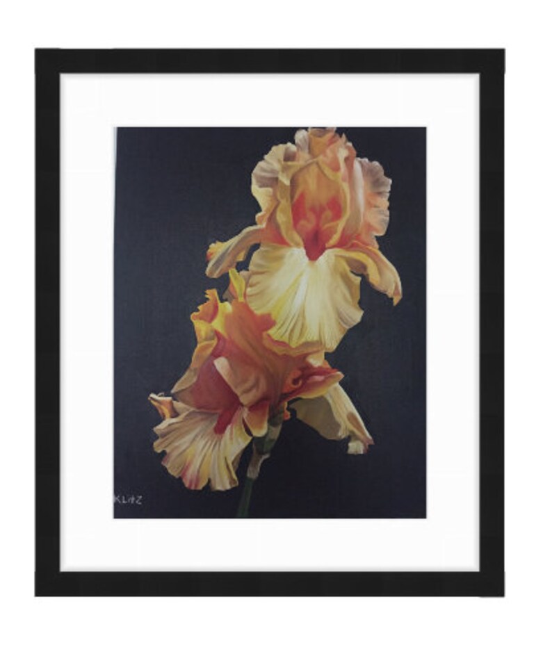 Giclee Canvas or Paper Print Limited Editionfine Art Print of Original