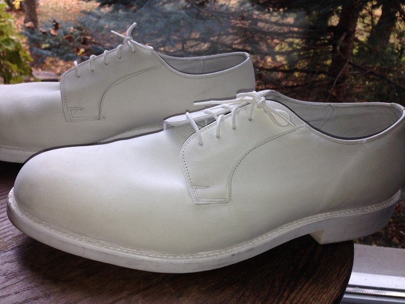 buck suede shoes