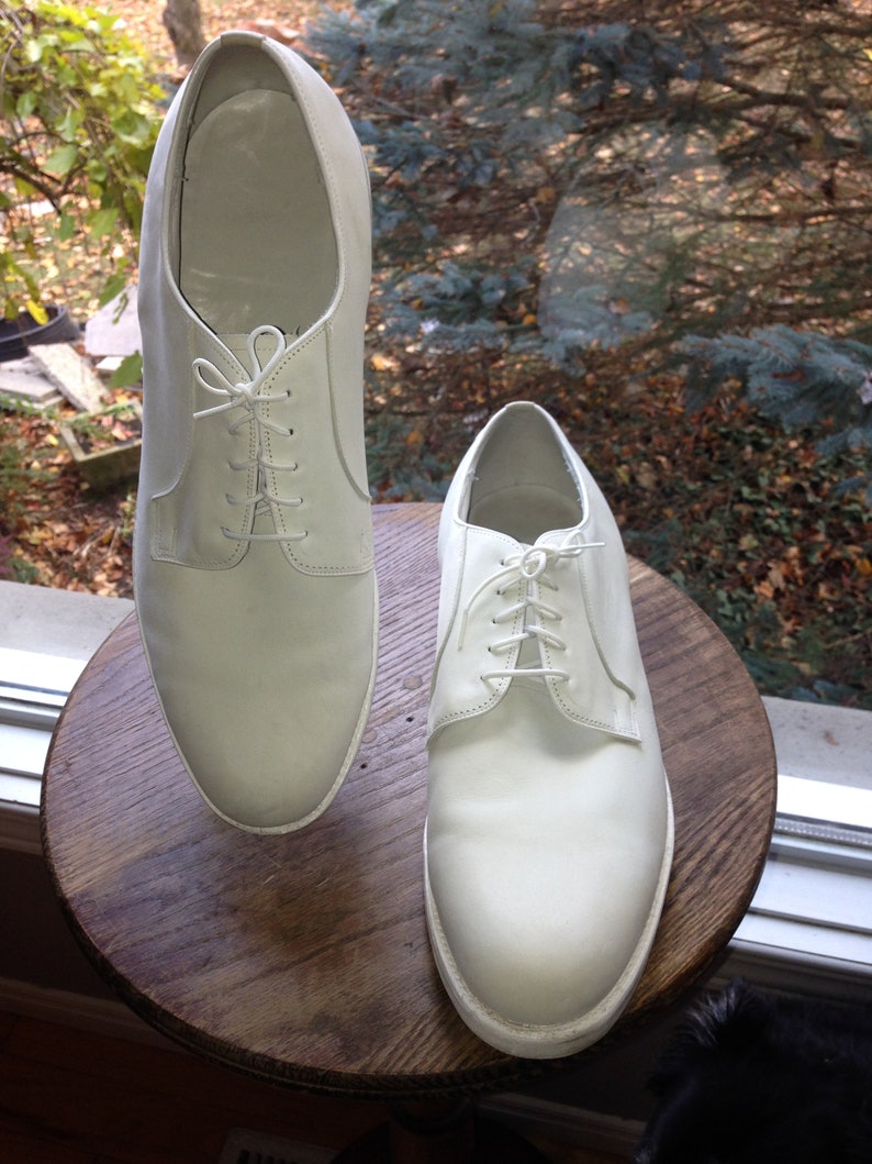 buck suede shoes