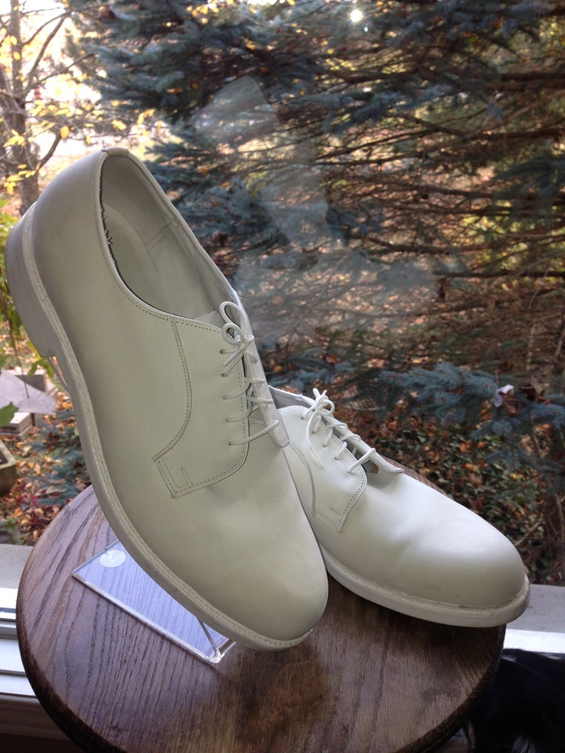 buck suede shoes