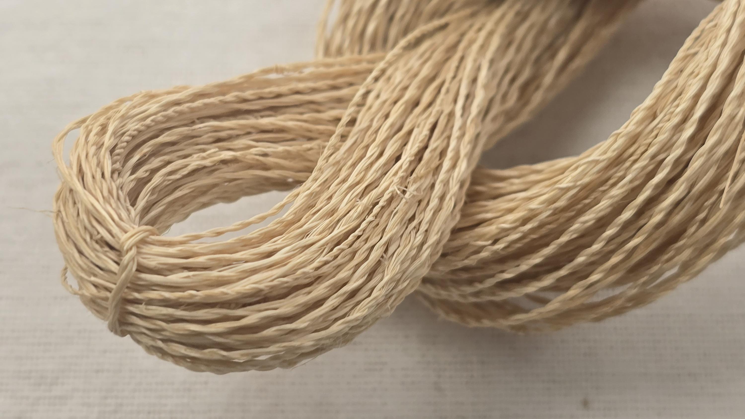 1 Hank of Natural Colored Abaca Yarn 1890 Euro Kg 100 Cellulose Banana ...