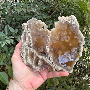 May include: A large, irregularly shaped, translucent stone with a mix of tan, brown, and white hues. The stone has a porous texture with visible crystalline formations and is held against a backdrop of green foliage.