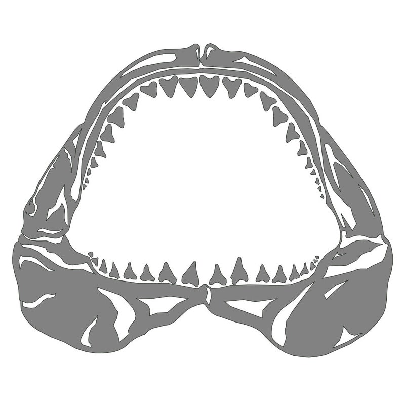 Free Free Shark Jaws Svg 577 SVG PNG EPS DXF File