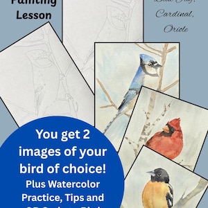 painting kit and tutorial for beginners, backyard birds, watercolor DIY,  painting birds for beginners adult and teens, art kit gift birds