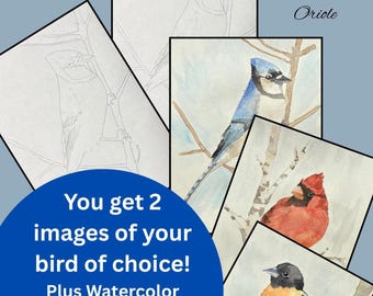 Akvarell fågelmålningslektion, Blåskrika, Kardinal, Oriole, Digital nedladdning