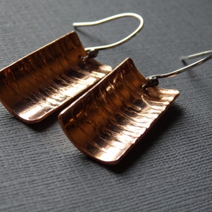 Peut inclure: Une paire de boucles d'oreilles en cuivre avec une texture martelée et des crochets en argent.