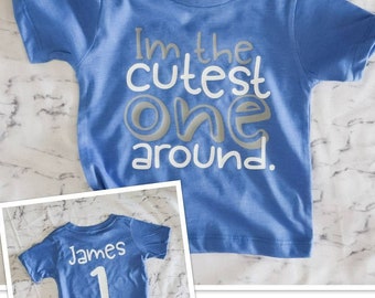 1st Birthday Shirts, one year old Birthday Shirt, 1st Birthday Gift  Shirt, one year old birthday TShirts, one birthday tee,