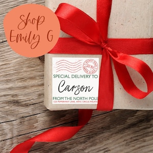 Special Delivery | Christmas Gift Tag Sticker Label | To From Gift Labels | Custom Gift Labels | Personalized Gift Label Sheet for Christmas