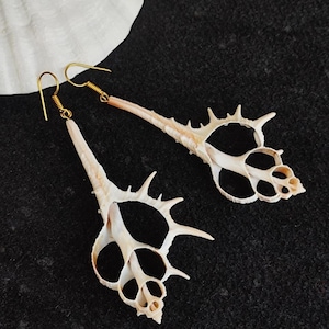 Peut inclure: Boucles d'oreilles en coquillage avec crochets dorés. Les boucles d'oreilles sont fabriquées à partir de coquillages naturels de couleur crème, avec des motifs ajourés complexes. Présentées sur un fond sombre.