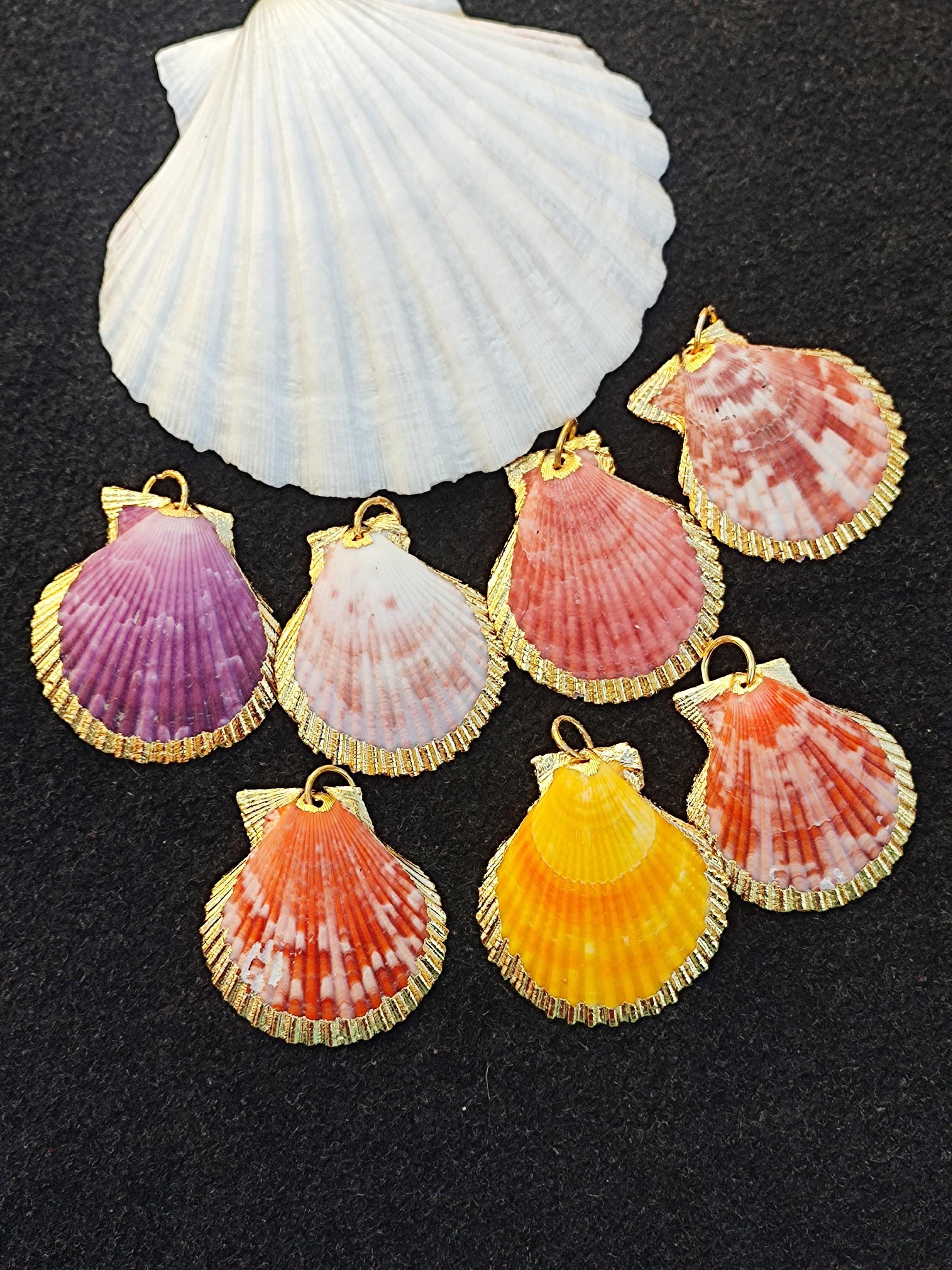 Real Scallop Seashell 18k Gold Fill Electroplated Pendant Irish Baking Scallop Shells Pecten Subnodosus Ocean Seashell Pendant Beach Jewelry