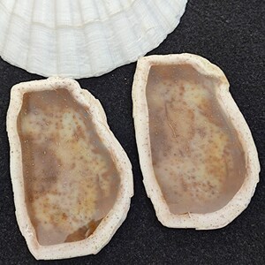 Natürliche Geode Scheibe Lose Gesmtone Echte Geode Scheibe Herstellung Schmuck Lieferungen Stilvolle Scheibe für Dekor und Kunsthandwerk