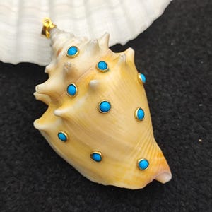 Pode incluir: Um pingente de concha bege adornado com pedras preciosas de cor turquesa em engastes dourados. O pingente tem uma argola dourada na parte superior para pendurar. A concha está sobre uma concha branca e um fundo escuro.