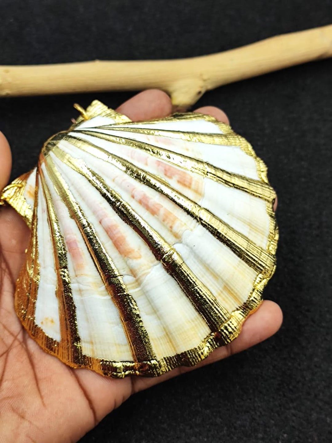 オッフェン　Offen scallop pearls pattern/BEIGE Arizona Tile - S-Series - Porcelain Scallop Mosaic - Soft