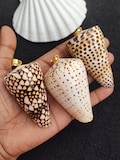 Conus Betulinus Sea Shell Pendant, Natural Leopard Print Seashell Charm product logo