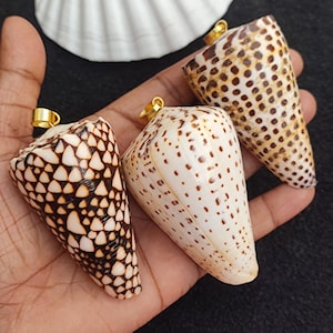 May include: Three cone-shaped seashell pendants with gold-coloured bails. The shells display natural patterns of brown and white, with one featuring a dark brown and white geometric design. A white seashell is in the background.
