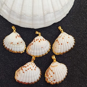 Natural Shell 18k Gold Fill Electroplated Pendant Real Scallop Shell Seashell Conch Charm Pendant Ocean Seashell Pendant Beach Jewelry