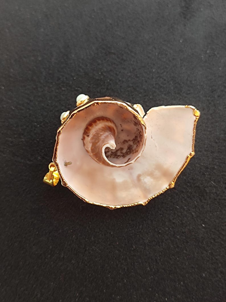 Handcrafted Amazonite & Seashell Pendant, 18k Gold Filled Ocean Jewelry ...