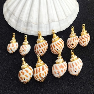 Real Seashell 18k Gold Fill Electroplated Pendant Conch Seashell Charm Pendant For Bracelet & Necklace Component Jewellery Making Supplies