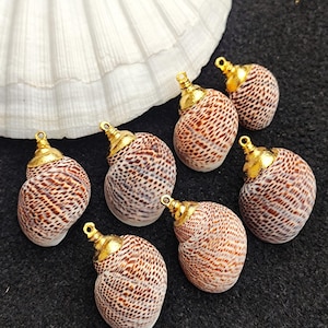 Real Seashell 18k Gold Fill Electroplated Pendant Conch Seashell Charm Pendant For Bracelet & Necklace Component Jewellery Making Supplies