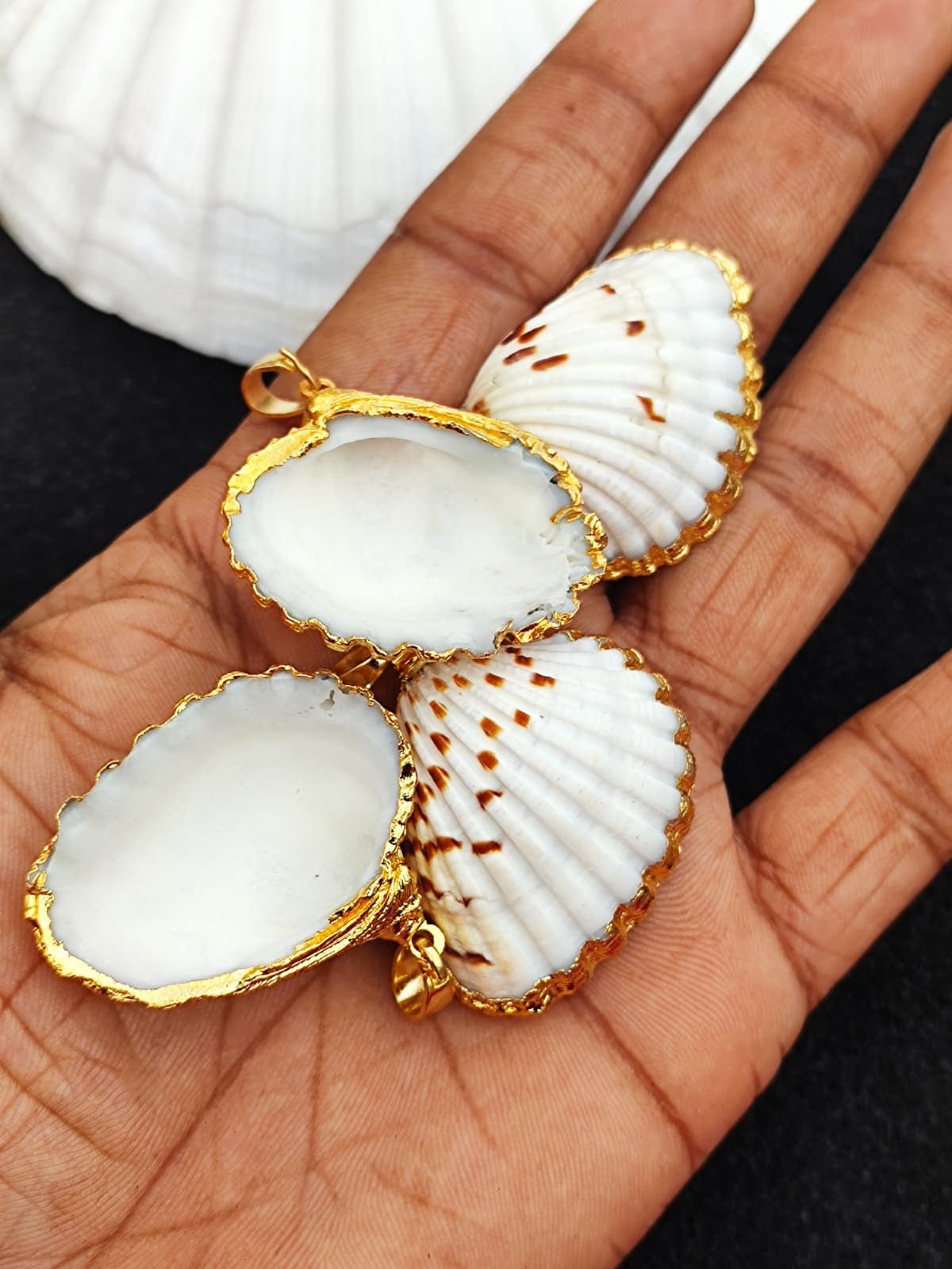 PATIKIL Ciondoli in Conchiglia Naturale, 5pz Gusci Tinti Charm Guscio di Capesante per Creare Collane Fai Da Te Gioielli Oceanici, Argento
