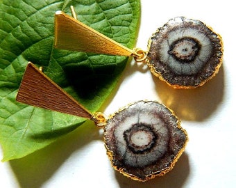 Puede incluir: Pendientes dorados con una parte superior triangular y un colgante circular con forma de piedra. El colgante tiene un borde dorado y un patrón gris, blanco y marrón. Los pendientes se muestran sobre una hoja verde.
