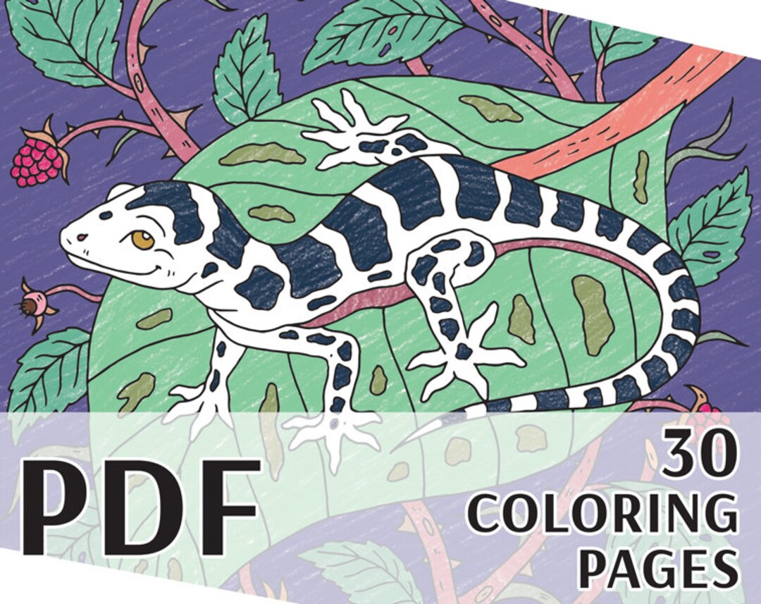 Coloring Book PDF: the Secret Life of Forest Animals - Etsy Coloring Book PDF: the Secret Life of Forest Animals - Etsy