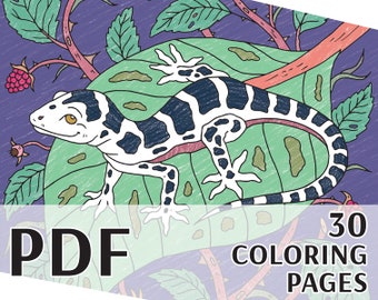 Coloring Book PDF: The Secret Life of Forest Animals