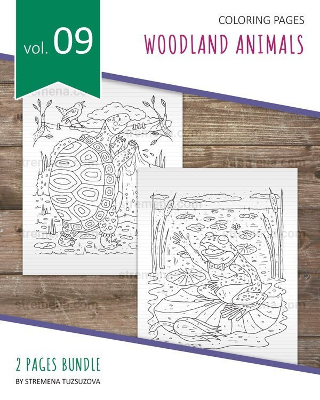 Cute Printable Coloring Pages: Turtle and Frog - Etsy