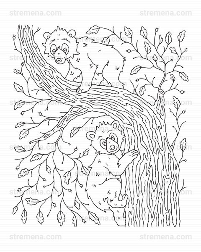 Mother Bear and Baby Bears Printable Coloring Pages | Etsy
