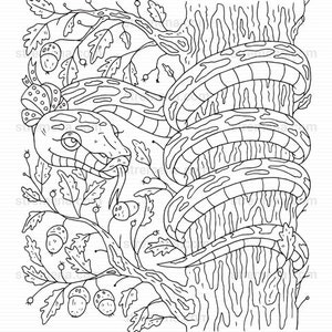 Reptiles Printable Coloring Pages: Snake and Lizard