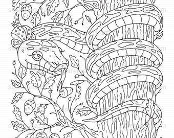 Reptiles Printable Coloring Pages: Snake and Lizard