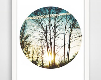 Trees-  Printable Art, Downloadable Photo, Wall Print, Home Decor
