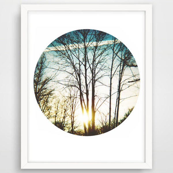 Trees-  Printable Art, Downloadable Photo, Wall Print, Home Decor