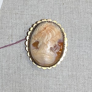 Hand Carved Shell Cameo Pendant As Found Brooch