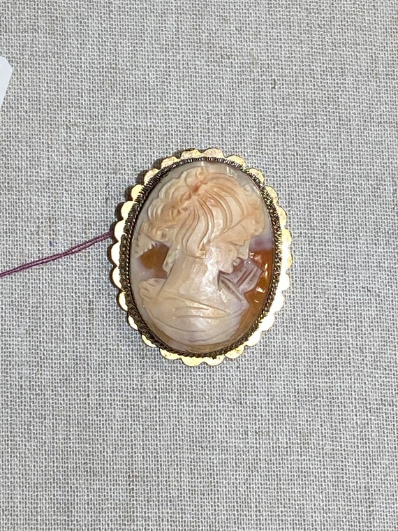 Hand Carved Shell Cameo Pendant As Found Brooch