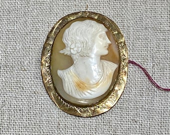 Antique Carved Shell Cameo Brooch
