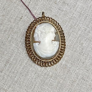 Italian Carved Shell Gold Filled Cameo Brooch Pendant
