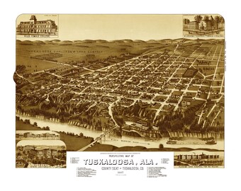 Tuscaloosa, Alabama in 1887 - Bird's Eye View Map, Aerial, Panorama, Vintage, Antique, Reproduction, Giclée, Fine Art, Wall Map, History