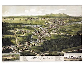 May include: An antique bird's-eye view map of Bridgton, Maine, USA. The map shows the town's layout with roads, buildings, and surrounding landscape. The map is printed in brown, green, and blue tones.