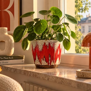 May include: A Pilea peperomioides plant with round green leaves sits in a ceramic pot featuring a vibrant red and white drip glaze pattern. The pot has a textured finish and a brown base, positioned near a window with natural sunlight.