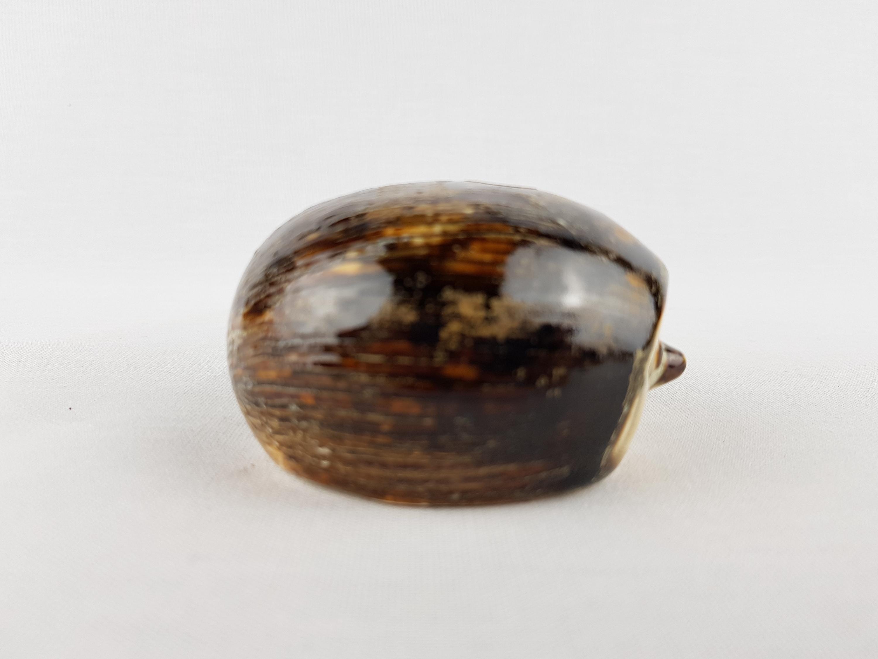 Vintage SOHOLM STENTOJ DENMARK Brown and Beige Hedgehog Figurine