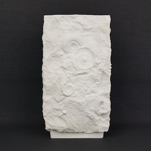 Vintage AK KAISER 3D Relief Biscuit Porcelain Vase With Fossil Decor by Martin Freyer 130 West Germany 1970s