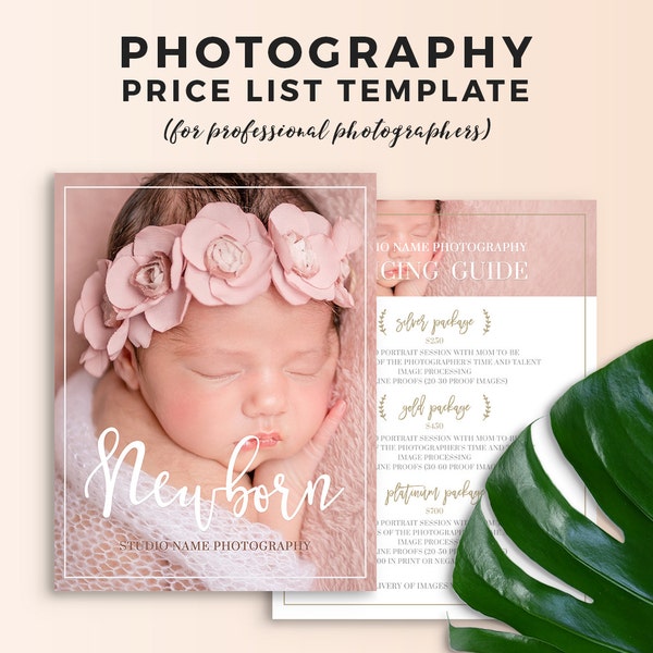 Newborn Photography Price List Template - Newborn Photography Pricing Guide - Newborn Photography Price Sheet Photoshop Template PSD