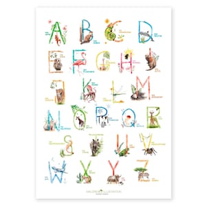 Könnte beinhalten: Ein farbenfrohes Alphabet-Poster mit Aquarell-Illustrationen von Tieren und Objekten. Jeder Buchstabe ist mit einem deutschen Wort und einem entsprechenden Bild gepaart, wie z. B. "A - Apfel" und "B - Biber".